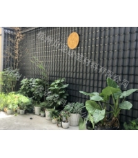 合成树脂瓦案例